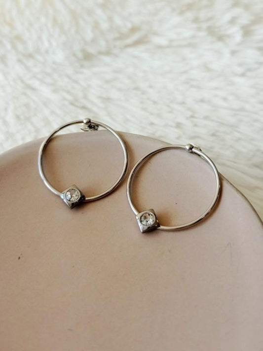 Caravanas de Acero Quirúrgico