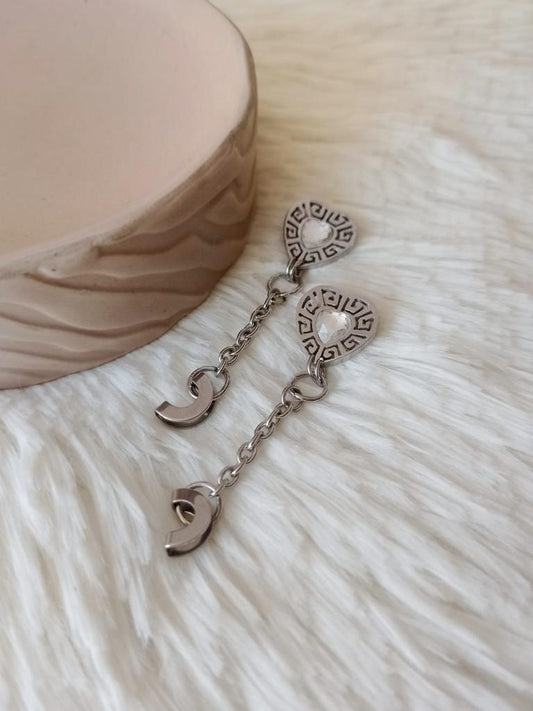 Caravanas de Acero Quirúrgico