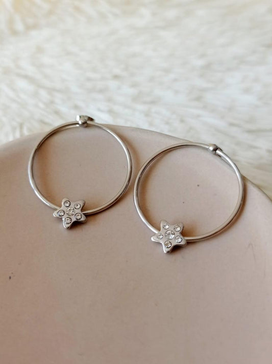 Caravanas de Acero Quirúrgico