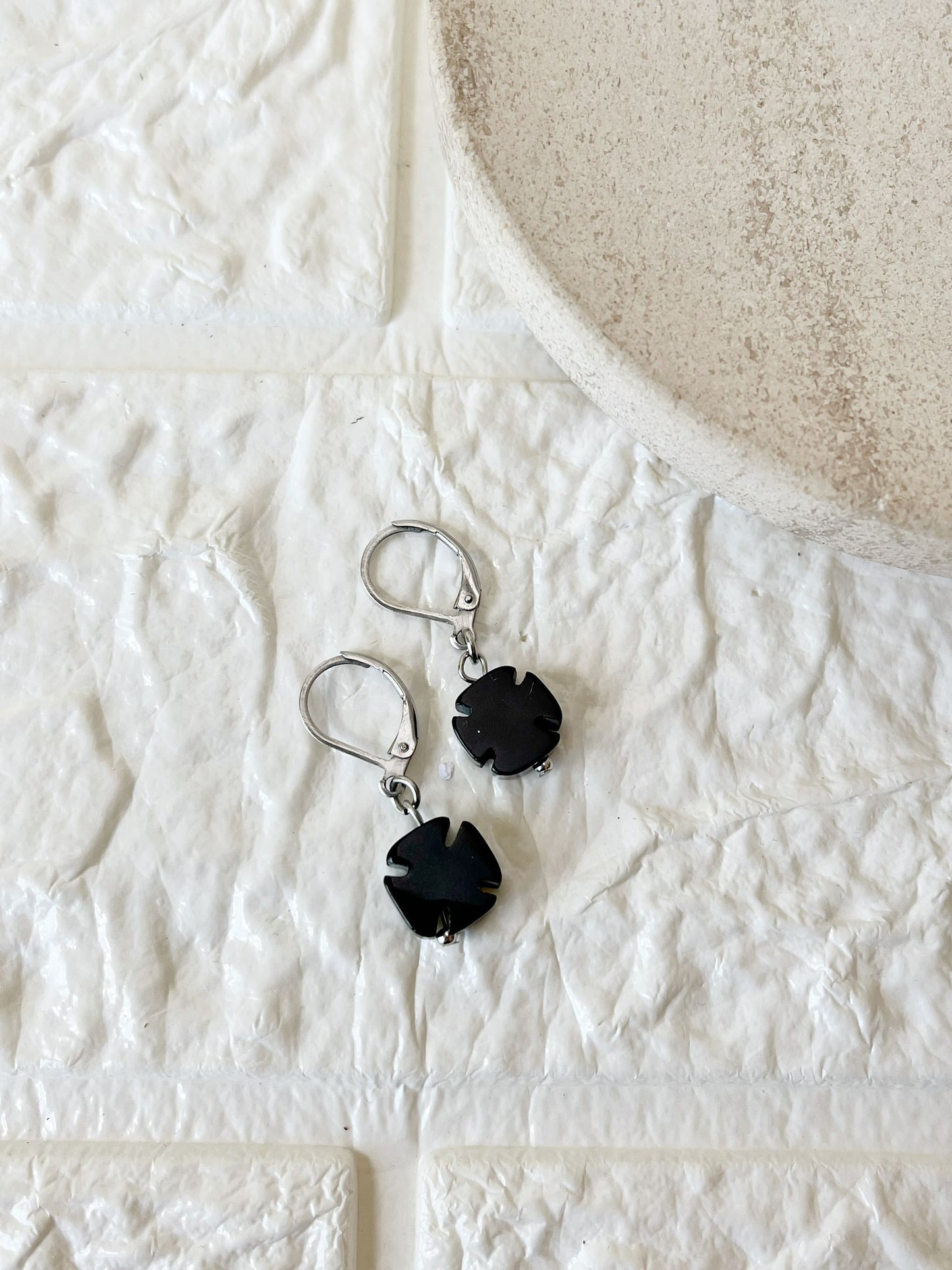 Caravanas de Ónix y Acero Quirúrgico