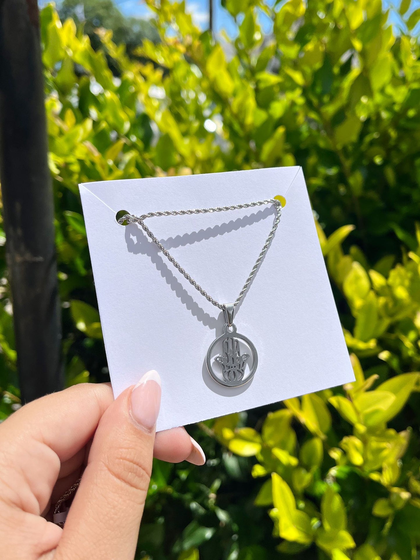 Conjunto de Acero Quirúrgico