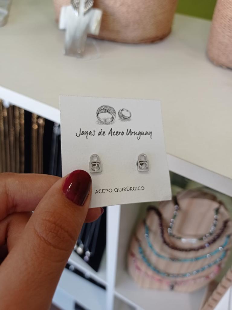 Caravanas de Acero Quirúrgico