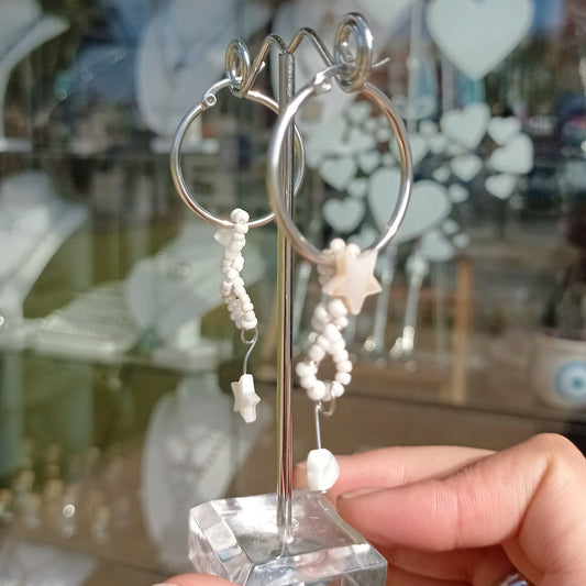 Caravanas de Acero Quirúrgico