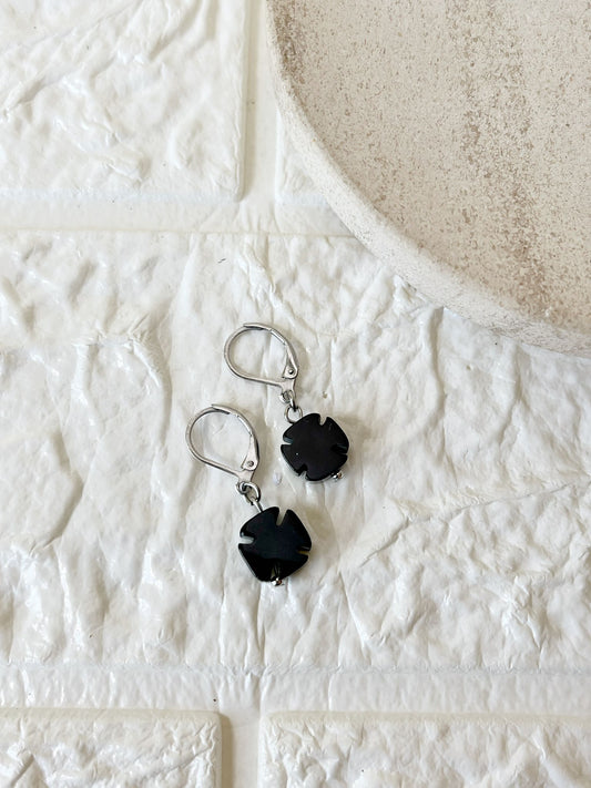 Caravanas de Ónix y Acero Quirúrgico