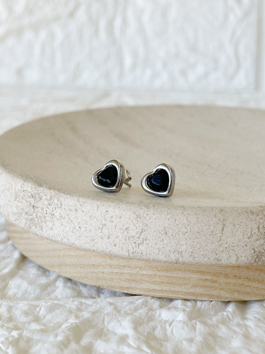 Caravanas de Acero Quirúrgico