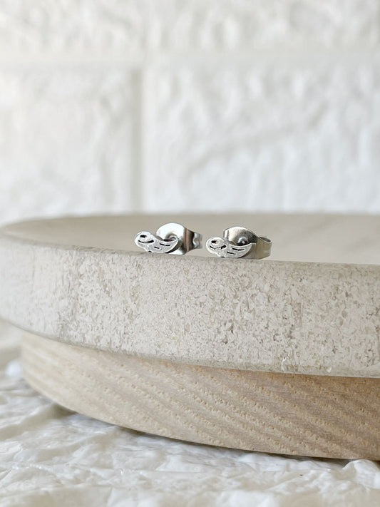 Caravanas de Acero Quirúrgico