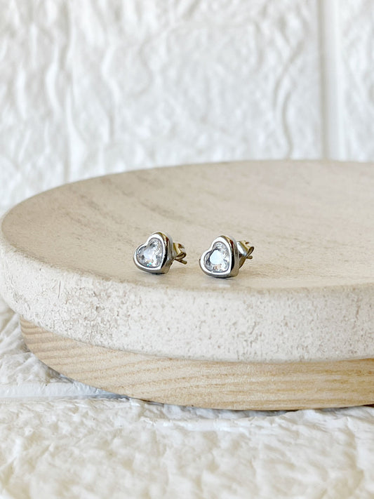 Caravanas de Acero Quirúrgico