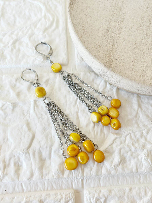 Caravanas de Acero Quirúrgico y Nácar