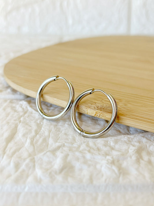 Caravanas de Acero Quirúrgico