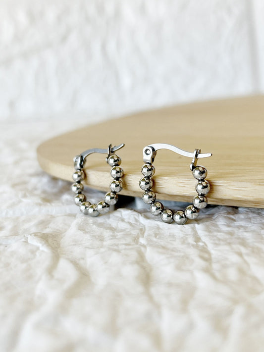 Caravanas de Acero Quirúrgico