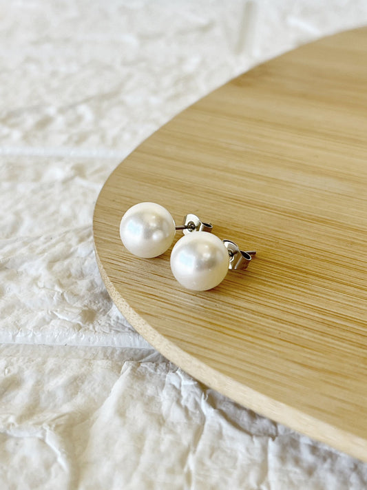 Caravanas de Acero Quirúrgico