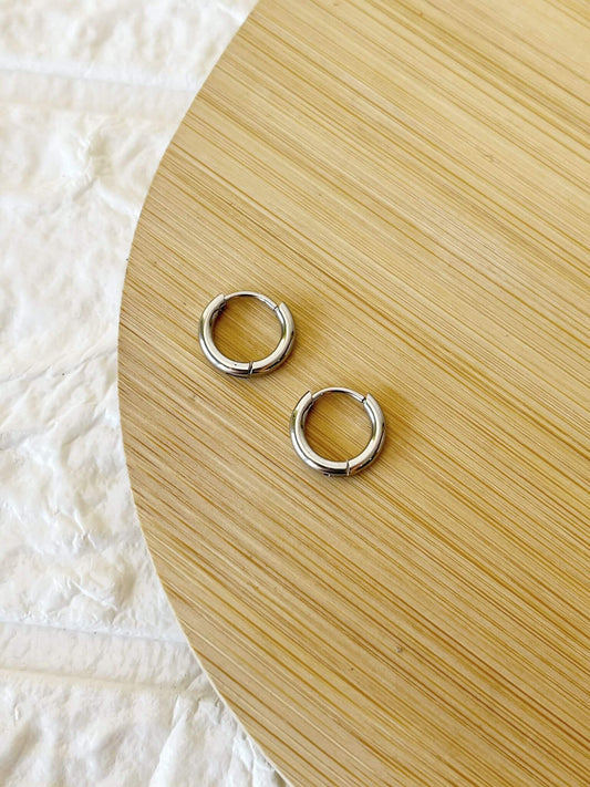 Caravanas de Acero Quirúrgico