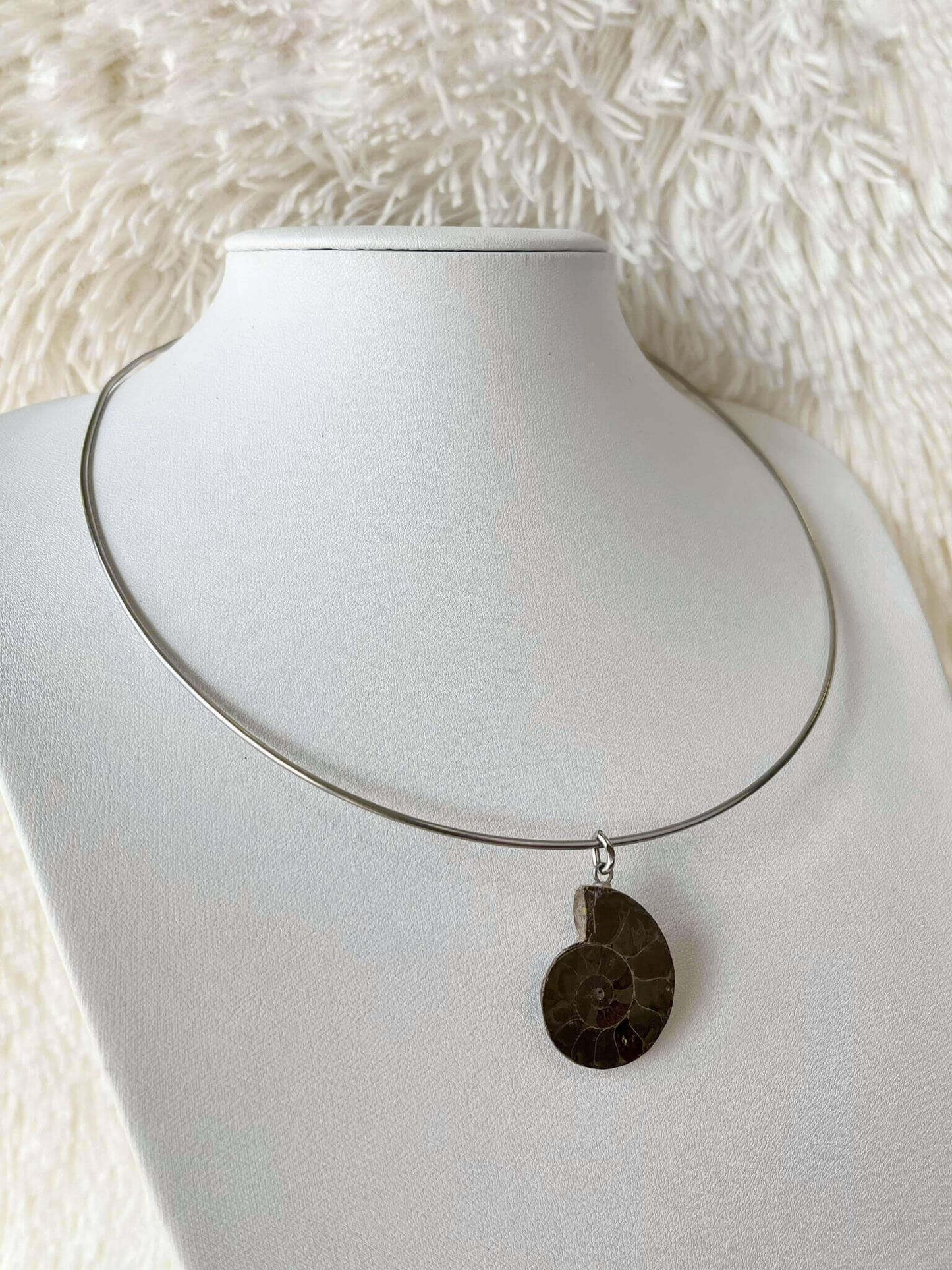 Conjunto de Acero Quirúrgico y Amonite