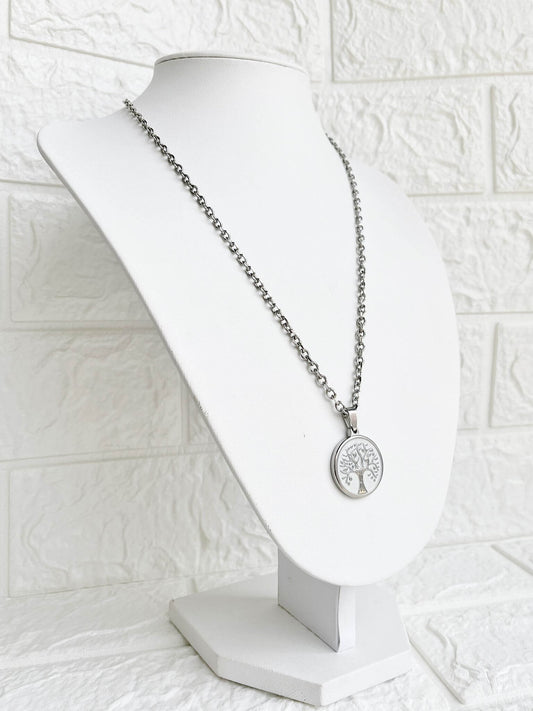 Conjunto de Acero Quirúrgico