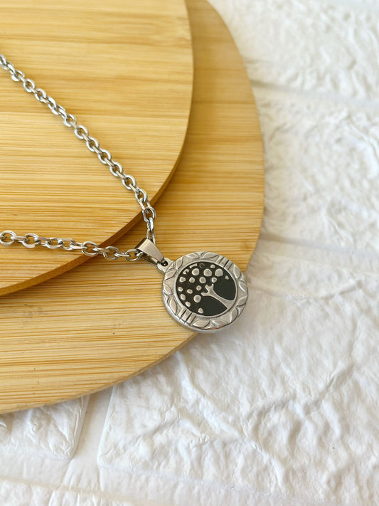 Conjunto de Acero Quirúrgico