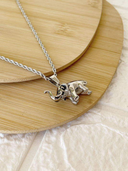 Conjunto de Acero Quirúrgico