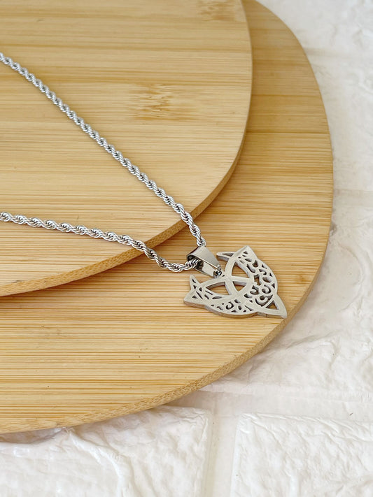 Conjunto de Acero Quirúrgico