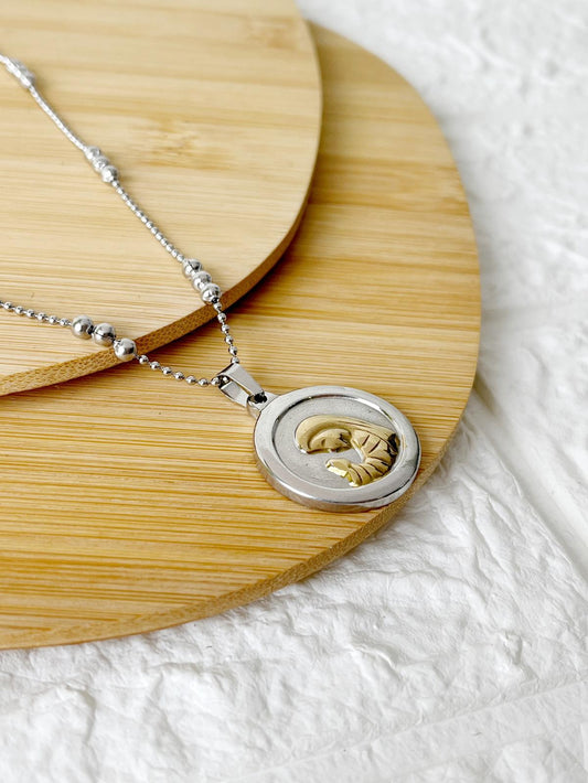 Conjunto de Acero Quirúrgico