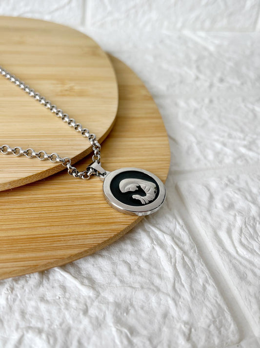Conjunto de Acero Quirúrgico